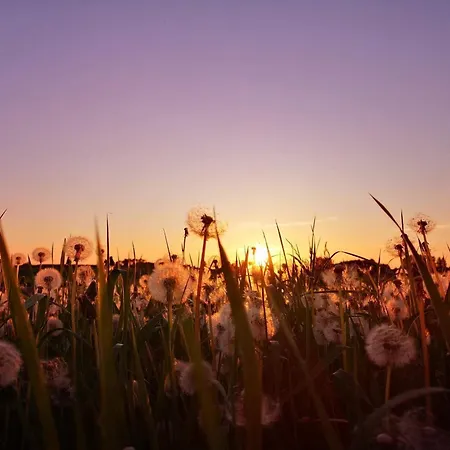 6 Person In Skibby-by Traum Feriehus