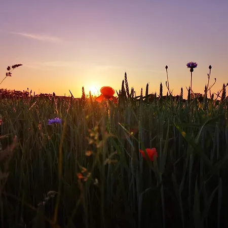 Feriehus 6 Person In Skibby-by Traum Skibby