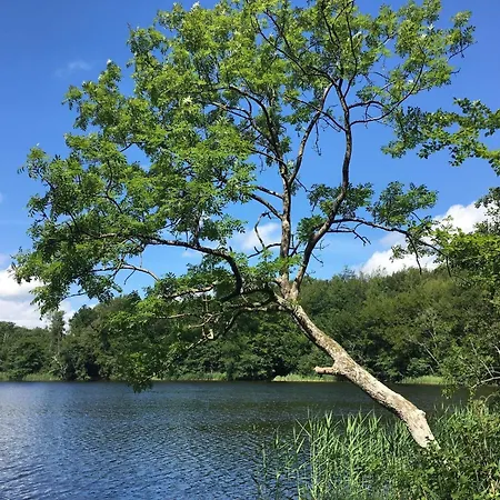 6 Person In Skibby-by Traum *